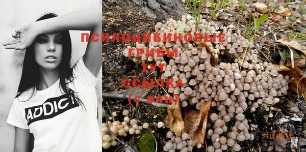 гидра Абинск