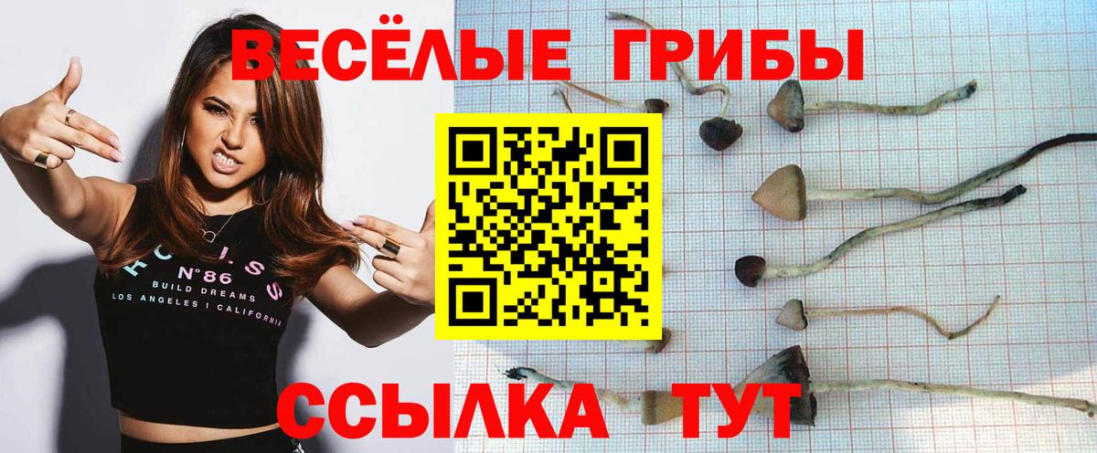 Арсеньев  Псилоцибиновые грибы GOLDEN TEACHER  Вход с VPN 