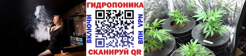 Бошки Шишки план MEGA сайт Арсеньев